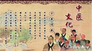 深度体验杭州桑拿按摩:我的放松之旅与真实感受 poster