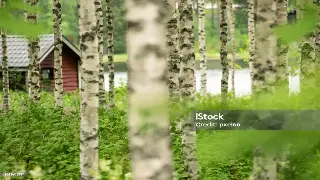 杭城舒压之旅：我的桑拿按摩深度体验记录