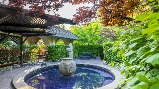 杭州桑拿进阶指南：别再只会干蒸了！这几种特色桑拿，让你身心焕然一新