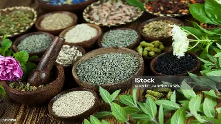 汗蒸房里的秘密：揭秘不同桑拿类型的养生之道，你选对了吗？